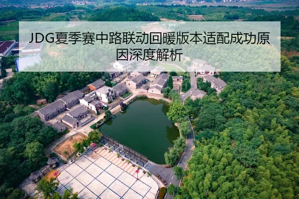 JDG夏季赛中路联动回暖版本适配成功原因深度解析