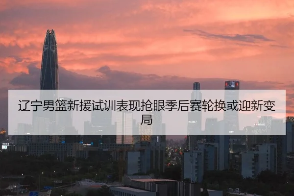 辽宁男篮新援试训表现抢眼季后赛轮换或迎新变局