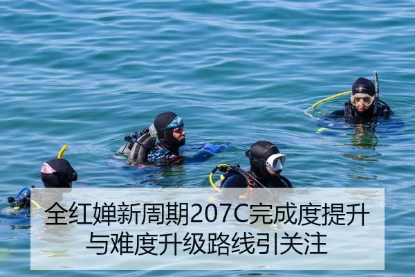 全红婵新周期207C完成度提升与难度升级路线引关注
